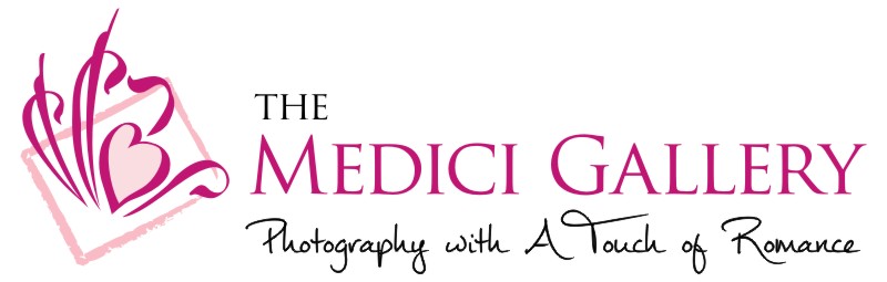 Ed Medici Gallery Productions